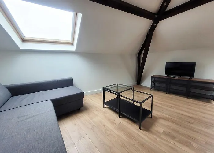 Apartamento Le Vivaldi Prox Centre Et Place Stan