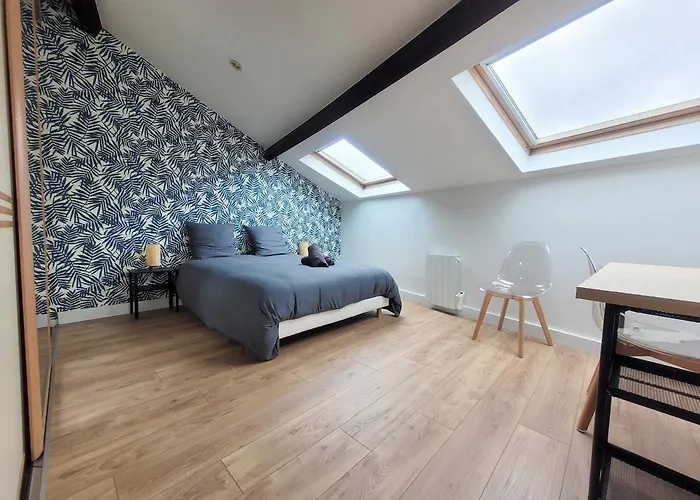 Le Vivaldi Prox Centre Et Place Stan * Nancy